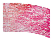 Genesis Flags F1 36" X 56"